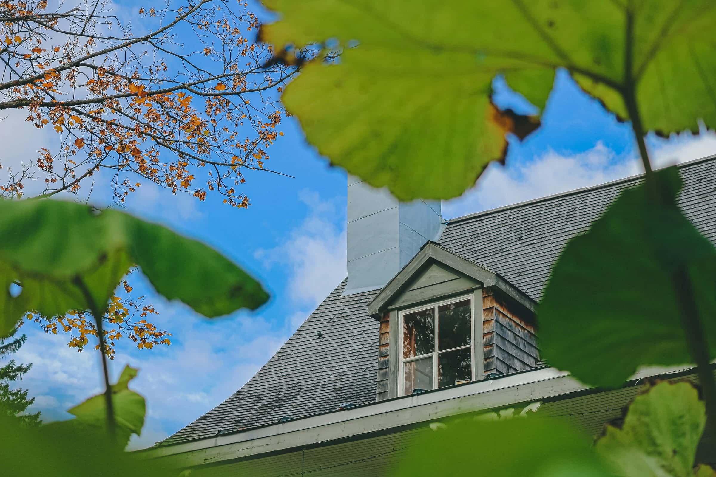 Shingled dormer and chimney seen through tree leaves