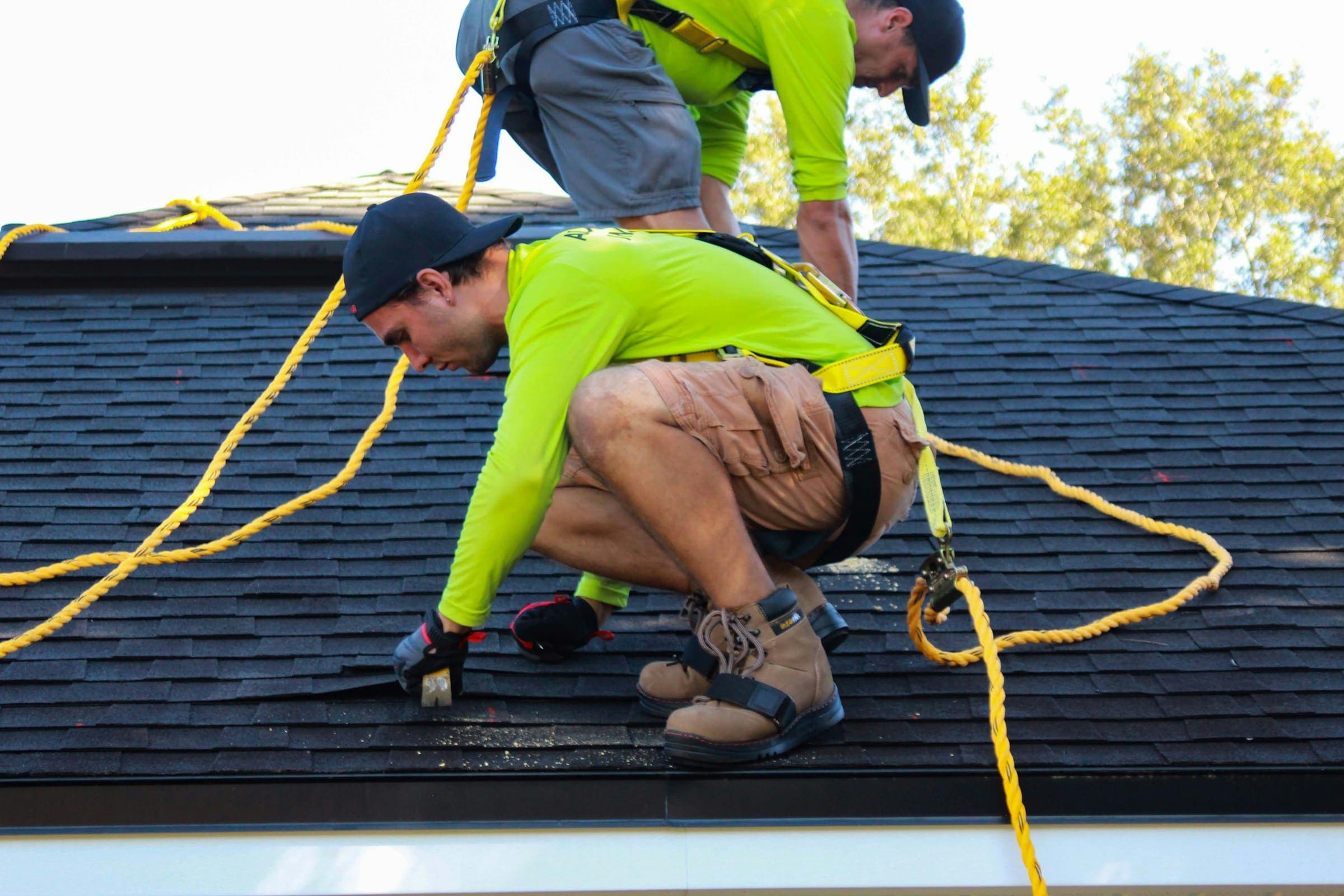Roofers in harnesses installing architectural shingles