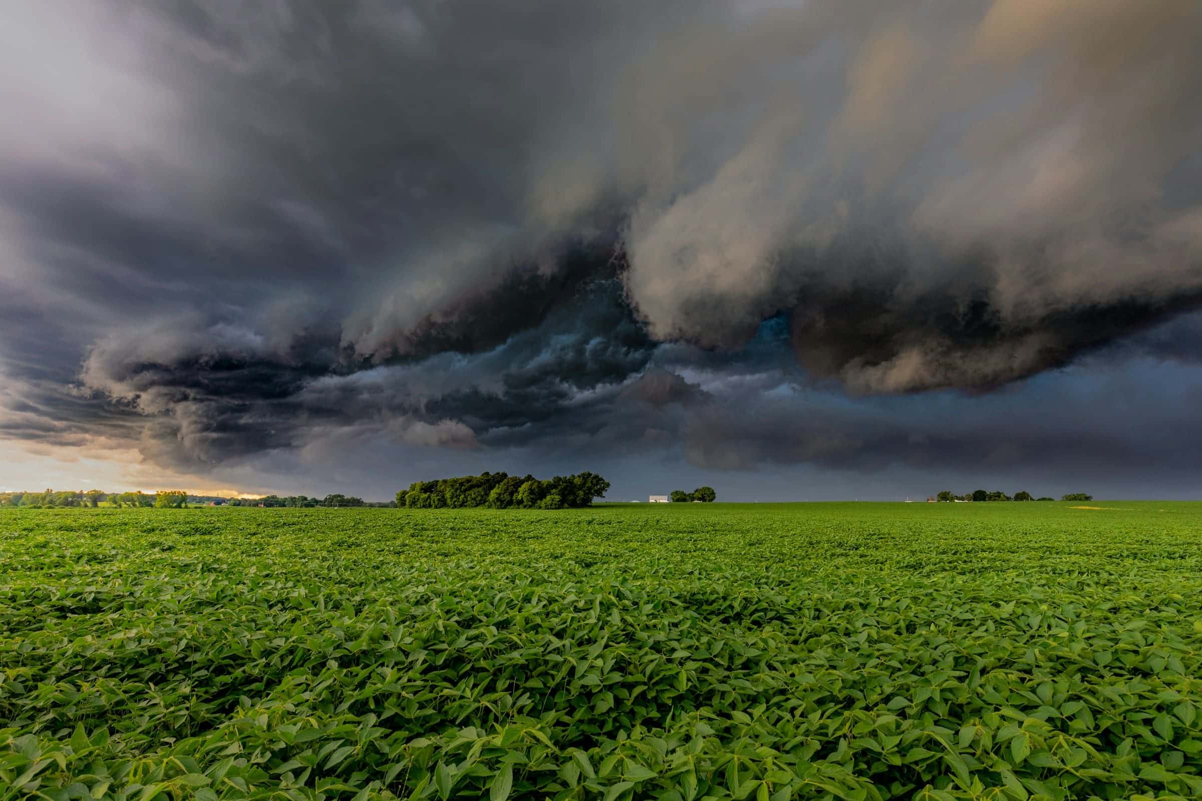 A storm shelf cloud rolling over open Texas-style farmland