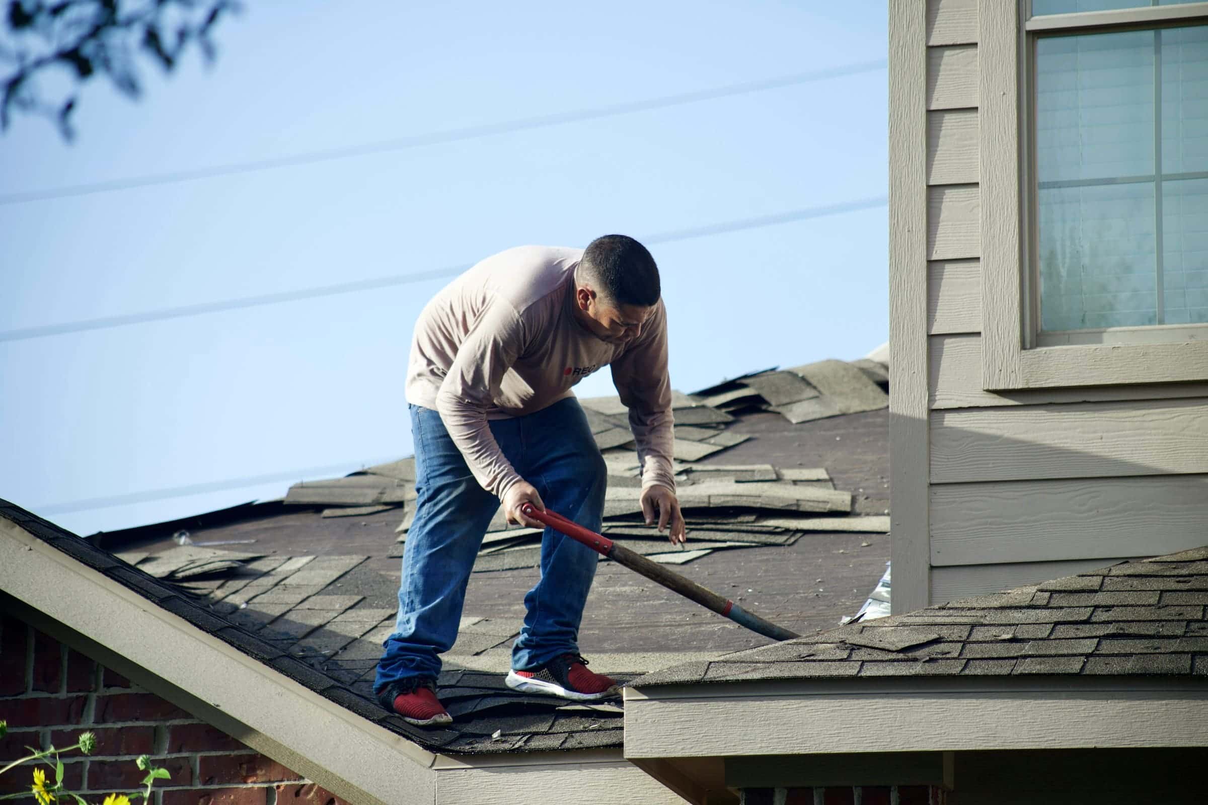 Roofer tearing off old shingles with a roofing shovel