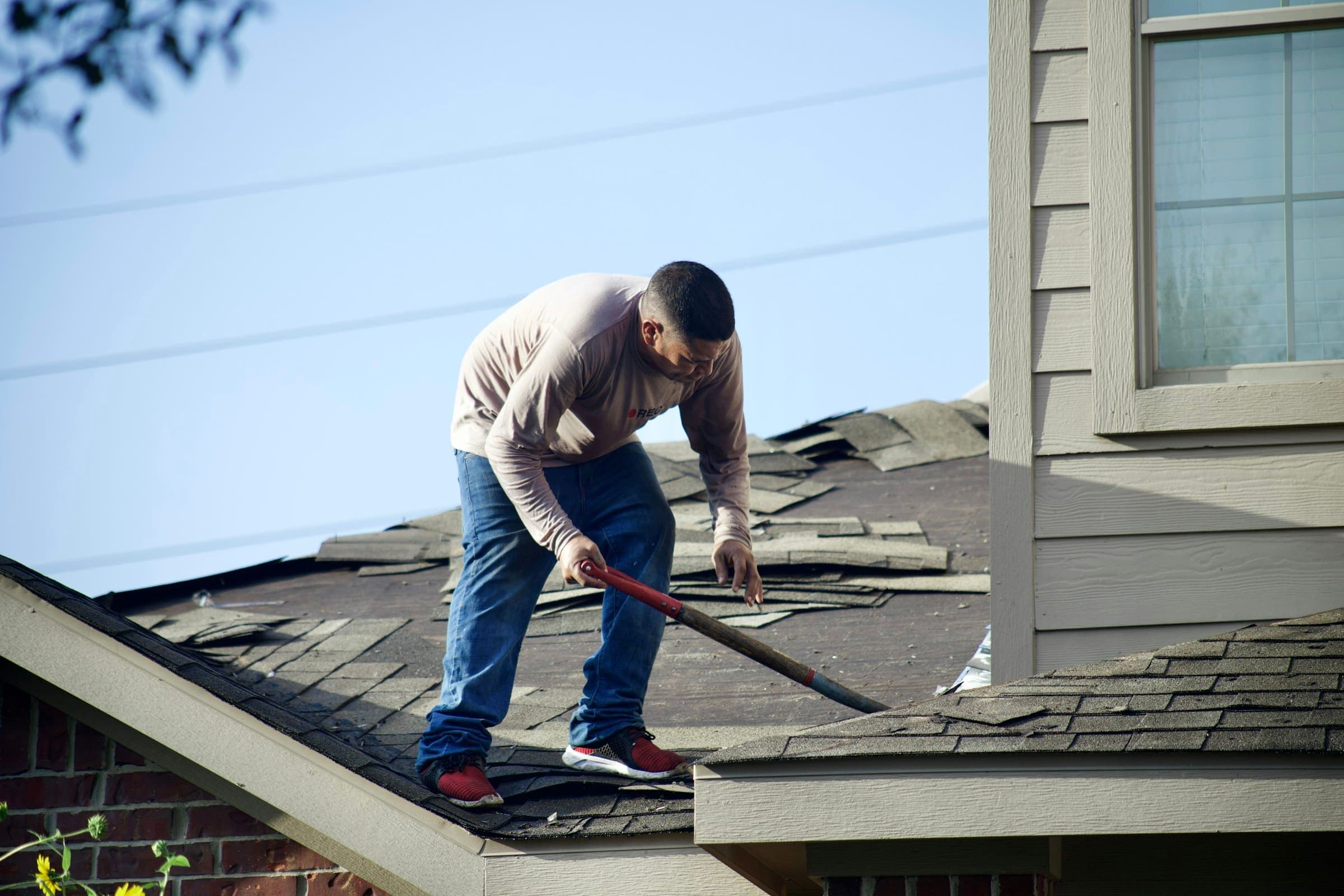 Roofer tearing off old shingles with a roofing shovel